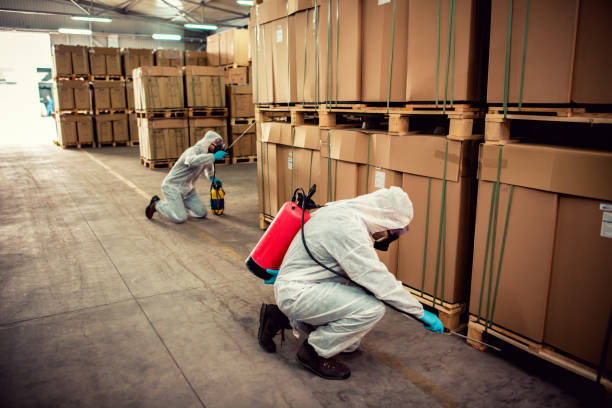 Best Wildlife Control Services  in St Vincent College, PA