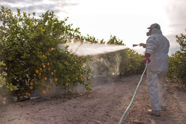 Best Wasp Removal Services  in St Vincent College, PA