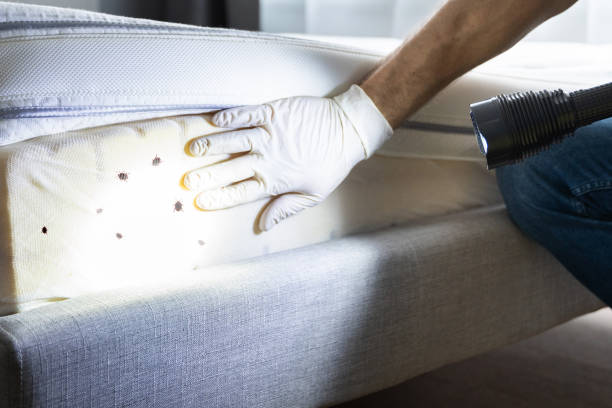 Best Affordable Pest Control Services  in St Vincent College, PA