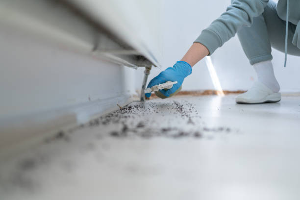 Best Termite Control Services  in St Vincent College, PA